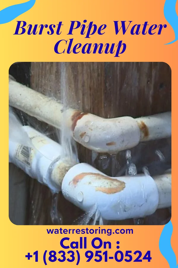 Burst Pipe Water Cleanup in Vernon Center, MN