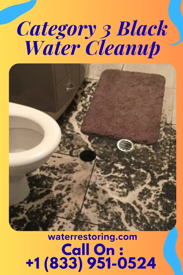 Category 3 Black Water Cleanup in Vernon Center, MN