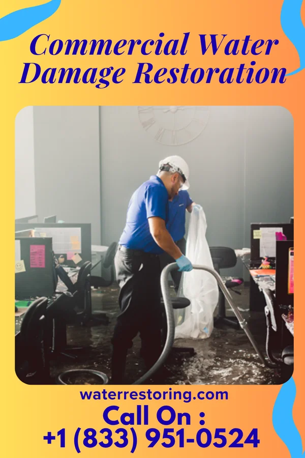 Commercial Water Damage Restoration in Vernon Center, MN