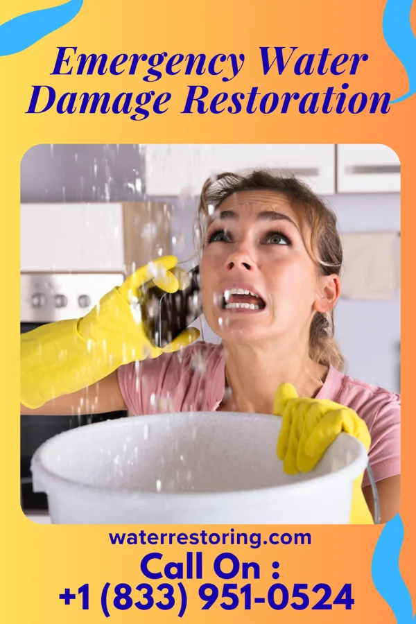 Emergency Water Damage Restoration in Vernon Center, MN