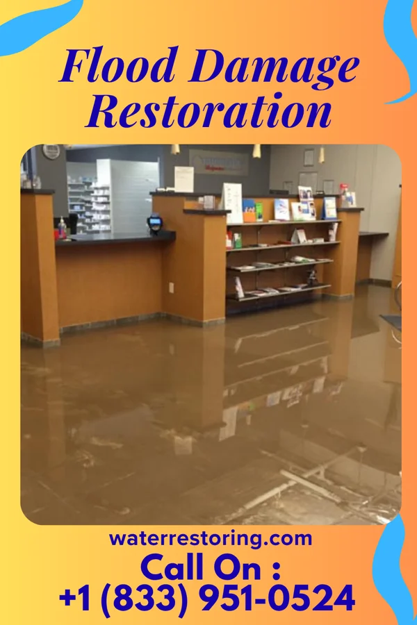 Flood Damage Restoration in Vernon Center, MN