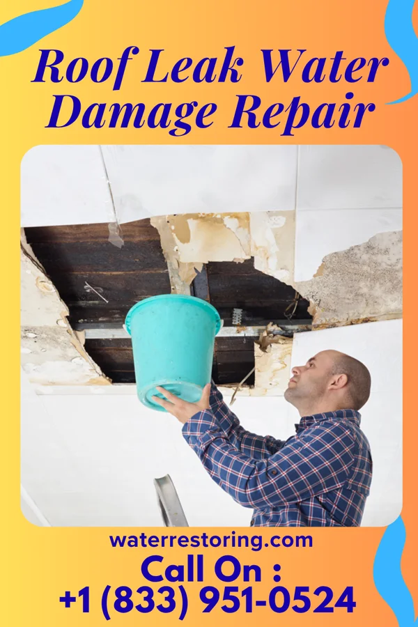 Roof Leak Water Damage Repair in Vernon Center, MN