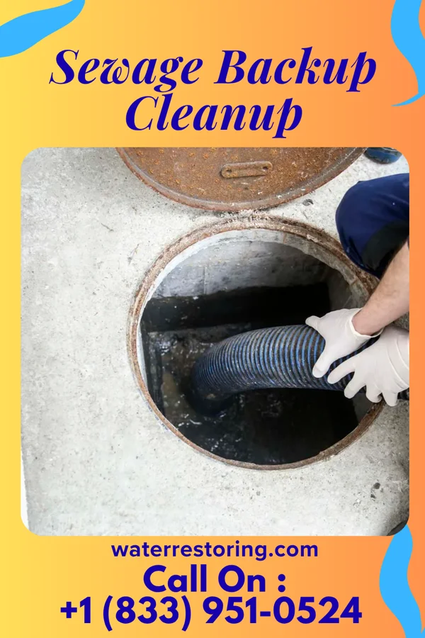Sewage Backup Cleanup in Vernon Center, MN