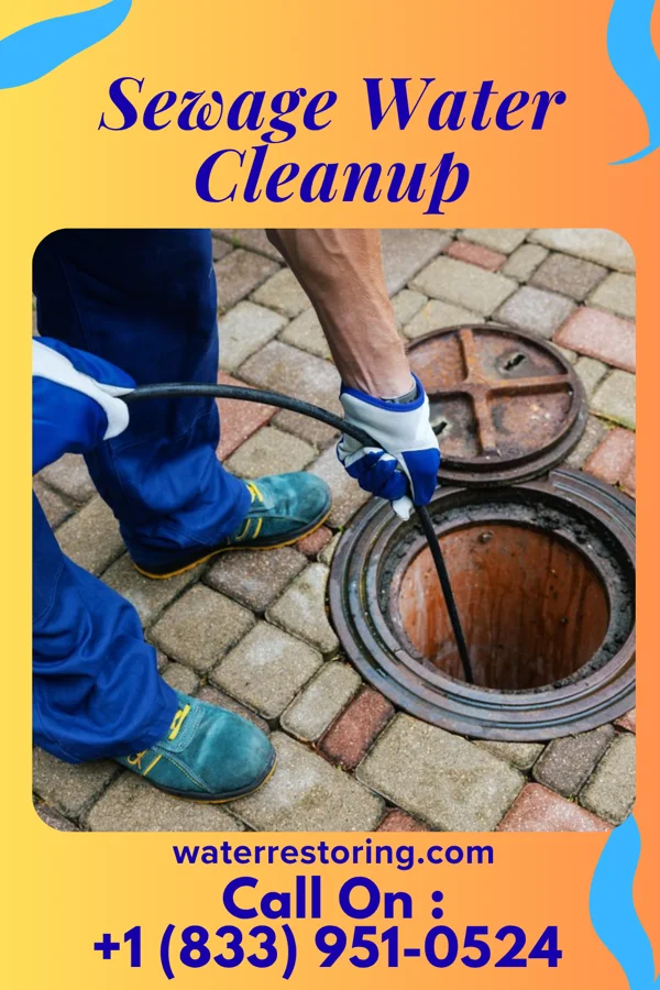 Sewage Water Cleanup in Vernon Center, MN
