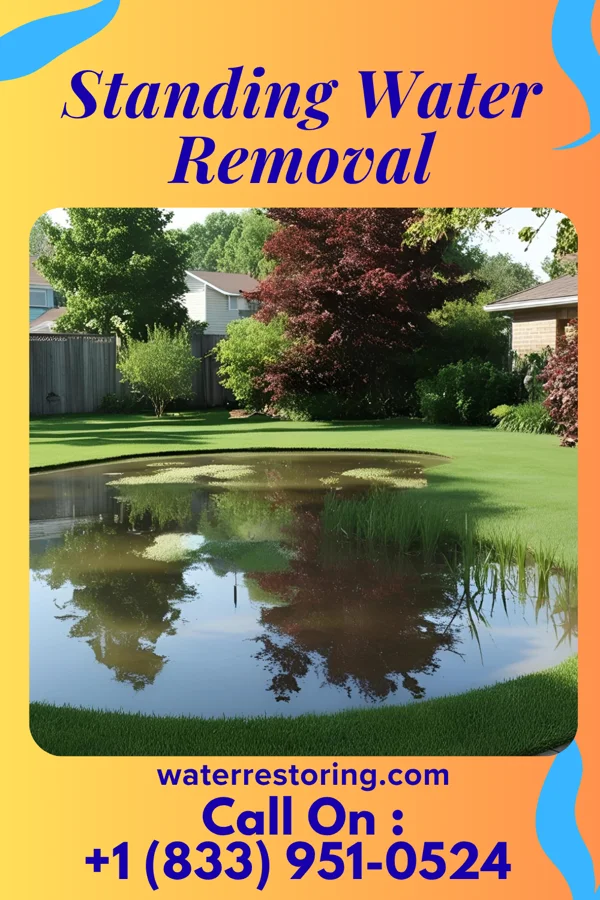 Standing Water Removal in Vernon Center, MN